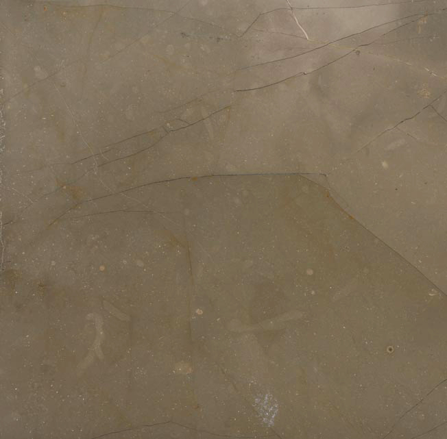 mármol - gris-pulpis - marble